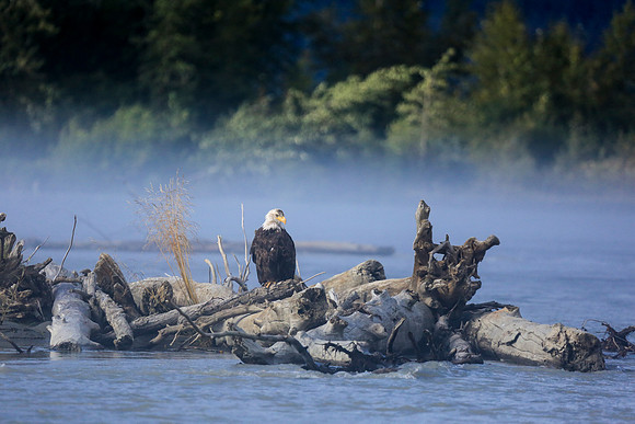 Alaska Trip 2016-261