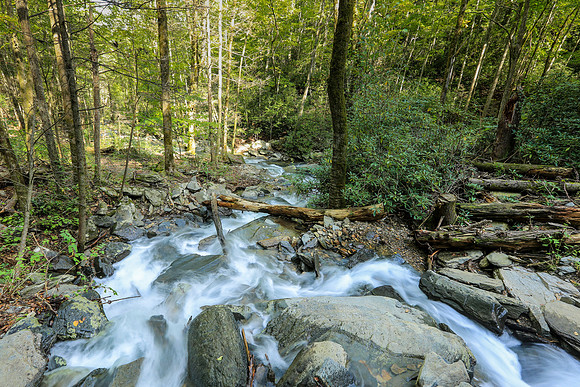 Asheville-078
