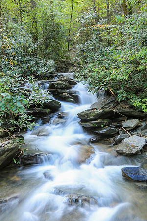 Asheville-067