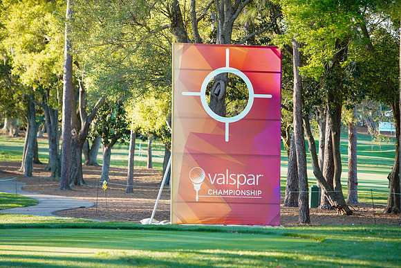 Valspar-646