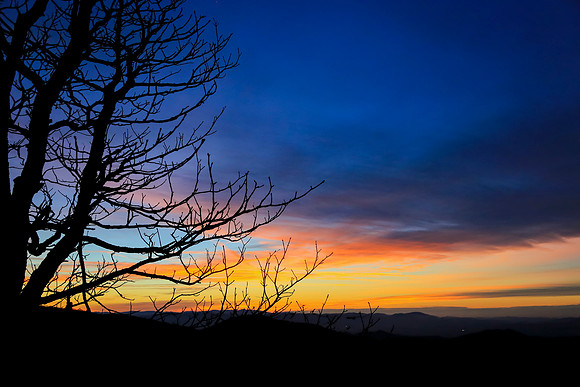 Asheville-050